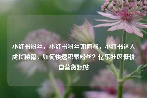 小红书粉丝	，小红书粉丝如何涨，小红书达人成长秘籍，如何快速积累粉丝？亿乐社区低价自营货源站  第1张