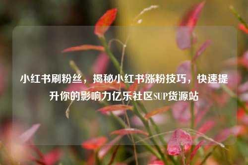 小红书刷粉丝	，揭秘小红书涨粉技巧，快速提升你的影响力亿乐社区SUP货源站  第1张