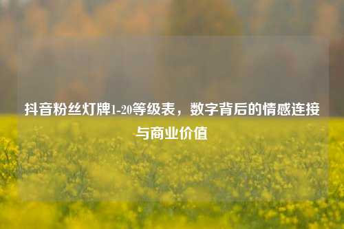 抖音粉丝灯牌1-20等级表，数字背后的情感连接与商业价值  第1张