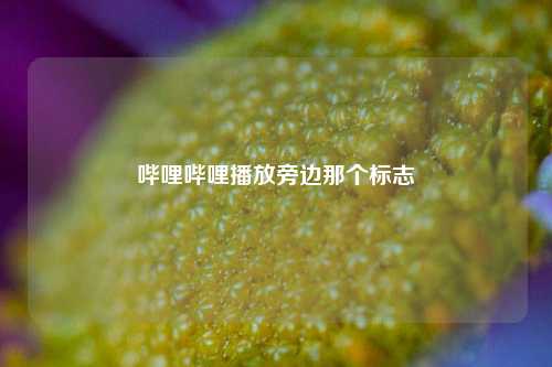 哔哩哔哩播放旁边那个标志  第1张
