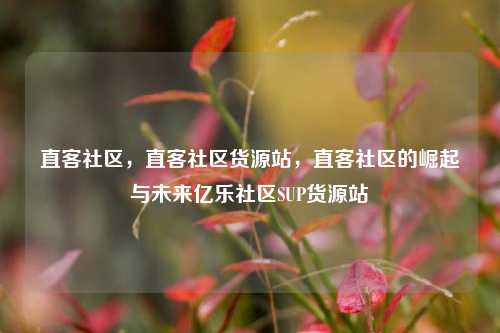 直客社区，直客社区货源站	，直客社区的崛起与未来亿乐社区SUP货源站  第1张