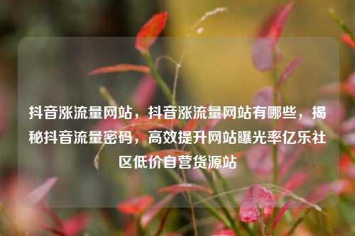 抖音涨流量网站	，抖音涨流量网站有哪些，揭秘抖音流量密码，高效提升网站曝光率亿乐社区低价自营货源站  第1张