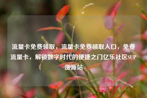 流量卡免费领取	，流量卡免费领取入口，免费流量卡，解锁数字时代的便捷之门亿乐社区SUP货源站  第1张