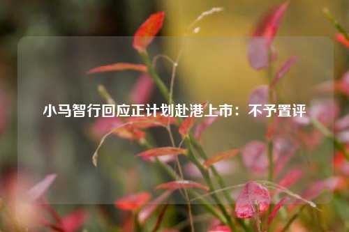 小马智行回应正计划赴港上市：不予置评  第1张