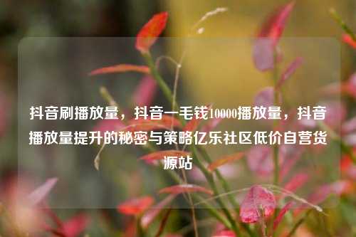 抖音刷播放量，抖音一毛钱10000播放量，抖音播放量提升的秘密与策略亿乐社区低价自营货源站  第1张