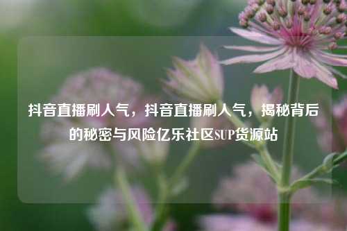 抖音直播刷人气	，抖音直播刷人气，揭秘背后的秘密与风险亿乐社区SUP货源站  第1张