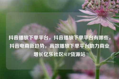 抖音播放下单平台，抖音播放下单平台有哪些	，抖音电商新趋势，高效播放下单平台助力商业增长亿乐社区SUP货源站  第1张