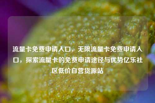 流量卡免费申请入口，无限流量卡免费申请入口	，探索流量卡的免费申请途径与优势亿乐社区低价自营货源站  第1张