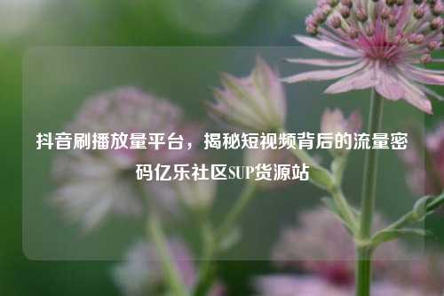 抖音刷播放量平台	，揭秘短视频背后的流量密码亿乐社区SUP货源站  第1张