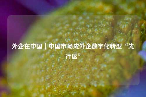 外企在中国｜中国市场成外企数字化转型“先行区”  第1张
