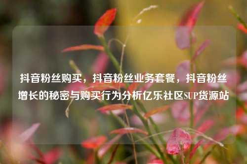 抖音粉丝购买，抖音粉丝业务套餐，抖音粉丝增长的秘密与购买行为分析亿乐社区SUP货源站  第1张