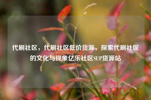 代刷社区，代刷社区低价货源，探索代刷社区的文化与现象亿乐社区SUP货源站  第1张