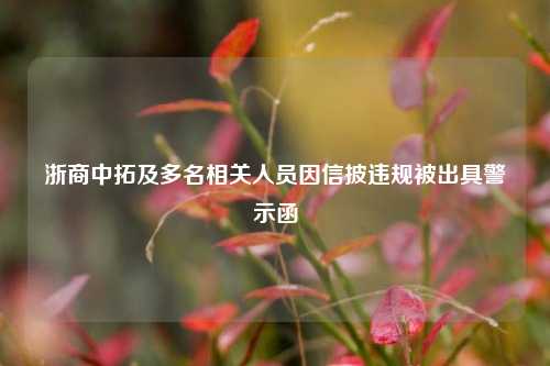 浙商中拓及多名相关人员因信披违规被出具警示函  第1张