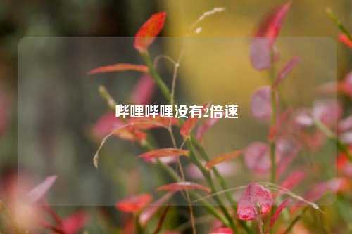 哔哩哔哩没有2倍速  第1张