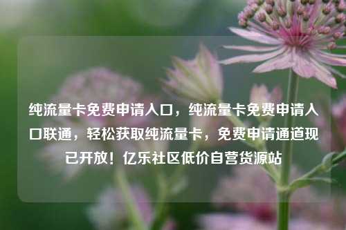 纯流量卡免费申请入口，纯流量卡免费申请入口联通，轻松获取纯流量卡	，免费申请通道现已开放！亿乐社区低价自营货源站  第1张