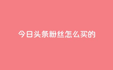 今日头条粉丝怎么买的,1元3万粉丝 - 快手点赞自助平台有 卡盟卡密使用教程 第1张 今日头条粉丝怎么买的,1元3万粉丝 - 快手点赞自助平台有 卡盟卡密使用教程 第1张