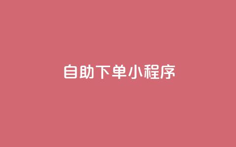 自助下单小程序,子潇网络自助下单的链接 - 黑马卡盟网 刷粉网免费入口  第1张