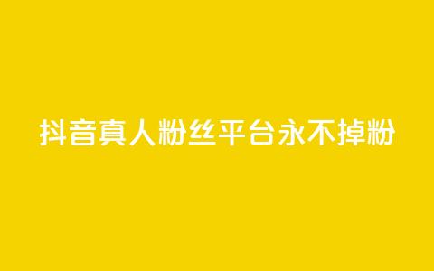 抖音真人粉丝平台 永不掉粉,qq空间偷看工具2024 - 抖音点赞清理器 快手24小时业务平台 第1张 抖音真人粉丝平台 永不掉粉,qq空间偷看工具2024 - 抖音点赞清理器 快手24小时业务平台 第1张