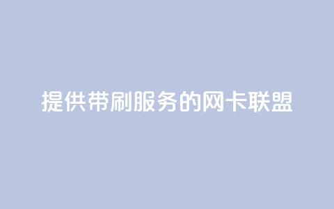 提供QQ带刷服务的网卡联盟 第1张 提供QQ带刷服务的网卡联盟 第1张