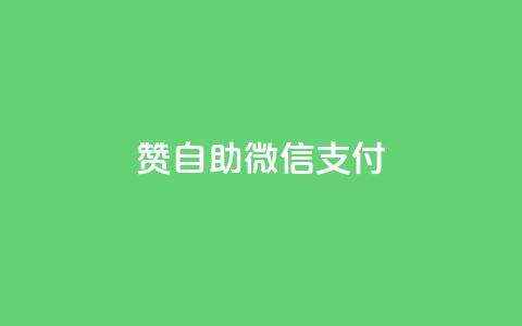 qq赞自助微信支付 - 使用微信支付快速获取qq赞的自助方法~ 第1张 qq赞自助微信支付 - 使用微信支付快速获取qq赞的自助方法~ 第1张