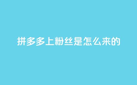 拼多多上粉丝是怎么来的,qq空间访客业务 - 拼多多转盘助力网站 拼多多怎么买人助力 第1张 拼多多上粉丝是怎么来的,qq空间访客业务 - 拼多多转盘助力网站 拼多多怎么买人助力 第1张