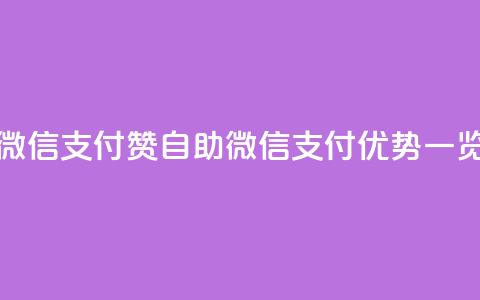 Ks赞自助微信支付 - Ks赞自助微信支付优势一览。  第1张