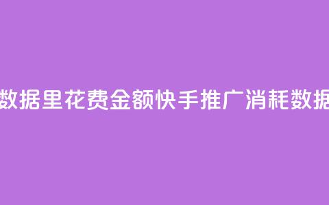 快手推广消耗数据里花费金额(快手推广消耗数据:花费金额分析) 第1张 快手推广消耗数据里花费金额(快手推广消耗数据:花费金额分析) 第1张