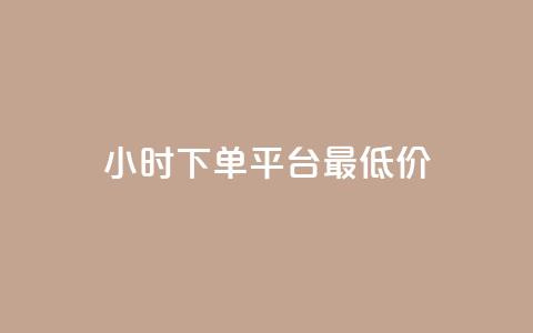 24小时下单平台最低价 - 全天候最低价下单平台推荐~ 第1张 24小时下单平台最低价 - 全天候最低价下单平台推荐~ 第1张
