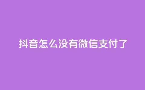 抖音怎么没有微信支付了 第1张 抖音怎么没有微信支付了 第1张