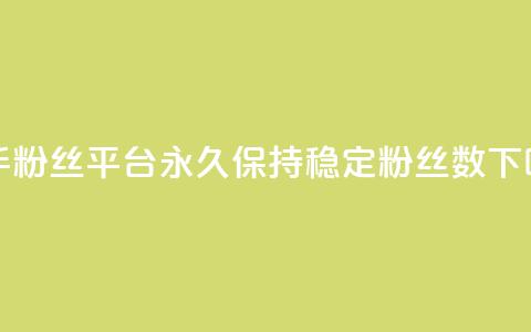 快手粉丝平台永久保持稳定粉丝数  第1张