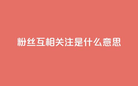 粉丝互相关注是什么意思 - 什么是粉丝互相关注?理解与实践~ 第1张 粉丝互相关注是什么意思 - 什么是粉丝互相关注?理解与实践~ 第1张