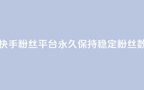 快手粉丝平台永久保持稳定粉丝数 第1张 快手粉丝平台永久保持稳定粉丝数 第1张