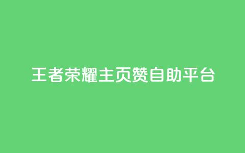 王者荣耀主页赞自助平台 - qq如何买访客  第1张