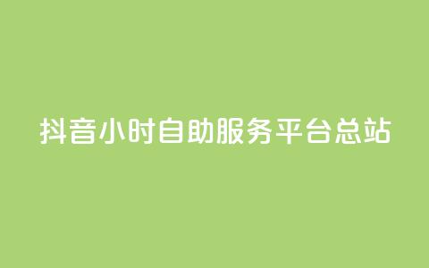 抖音24小时自助服务平台总站 - 抖音全天候自助服务平台一站式解决方案! 第1张 抖音24小时自助服务平台总站 - 抖音全天候自助服务平台一站式解决方案! 第1张