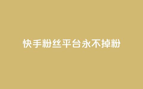 快手粉丝平台+永不掉粉,南荷网络24小时在线下单平台优惠 - 抖音业务下单24小时便宜 QQ人气访客  第1张
