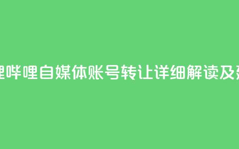哔哩哔哩自媒体账号转让：详细解读及建议  第1张