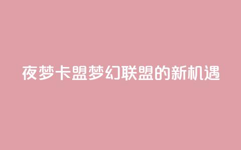 夜梦卡盟：梦幻联盟的新机遇  第1张