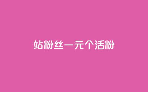 b站粉丝一元1000个活粉 - 如何在B站获得1000个活跃粉丝，仅需1元~  第1张