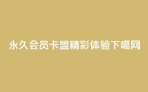 永久QQ会员卡盟，精彩体验！  第1张