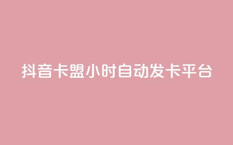 抖音卡盟24小时自动发卡平台,颜夕卡盟 - 全网辅助货源站 快手点赞评论软件微信支付  第1张