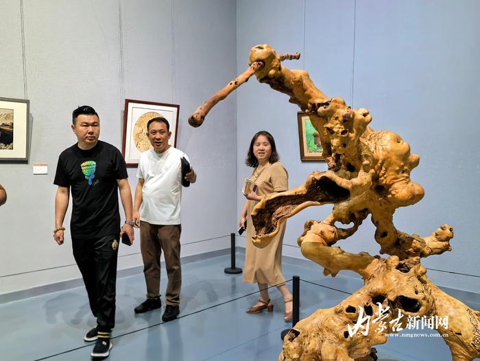 沿黄九省区民间工艺美术精品展在内蒙古美术馆开展  第4张
