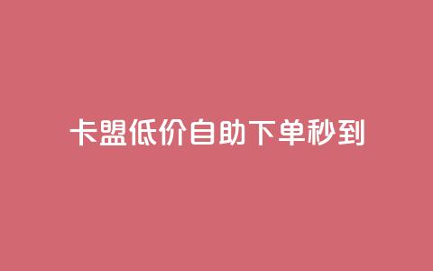 卡盟低价自助下单秒到 - 卡盟自助下单快速到账! 第1张 卡盟低价自助下单秒到 - 卡盟自助下单快速到账! 第1张