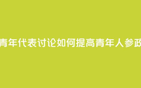 多国青年代表讨论如何提高青年人参政意愿  第1张