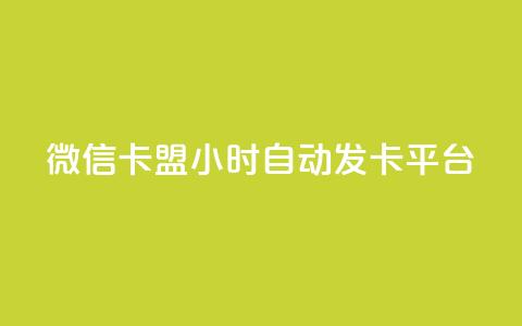 微信卡盟24小时自动发卡平台,云小店24小时下单平台 - 拼多多自动下单脚本 拼多多砍一刀代砍  第1张