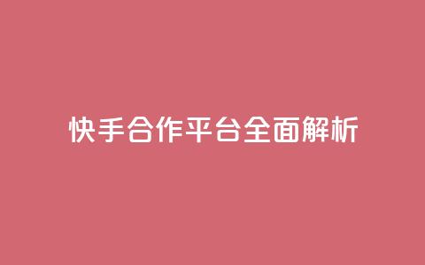 快手KOL合作平台全面解析 第1张 快手KOL合作平台全面解析 第1张