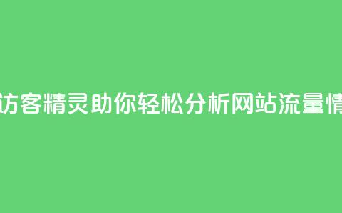 QQ访客精灵 - QQ访客精灵助你轻松分析网站流量情况! 第1张 QQ访客精灵 - QQ访客精灵助你轻松分析网站流量情况! 第1张