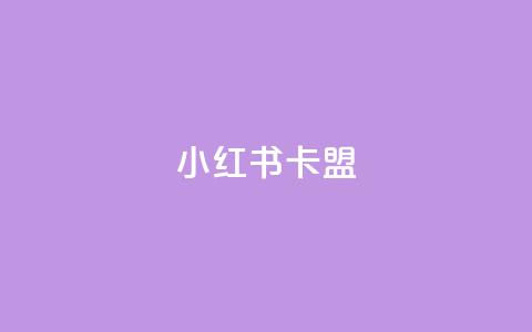 小红书卡盟 - 小红书卡盟:深入解析这一社交电商平台的隐藏商机~ 第1张 小红书卡盟 - 小红书卡盟:深入解析这一社交电商平台的隐藏商机~ 第1张