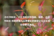 小红书粉丝，小红书粉丝如何涨，标签，小红书粉丝 创意营销与品牌增长的秘密亿乐社区低价自营货源站