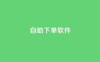 dy自助下单软件,网红商城官方入口 - ks双击购买 - ks一元1000个赞秒到软件
