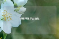哔哩哔哩平台地址